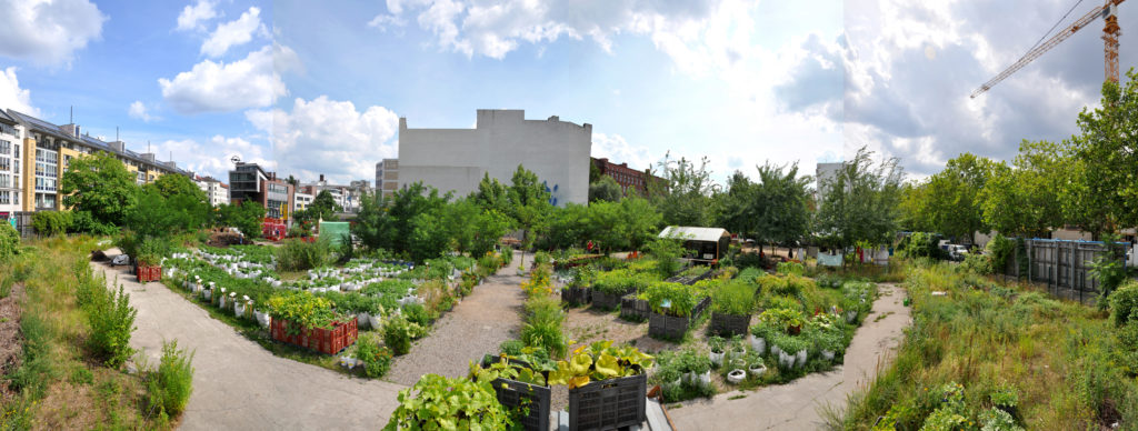 Prinzessinnengärten Immergrüne Gartenanlage in Berlin Kreuzberg